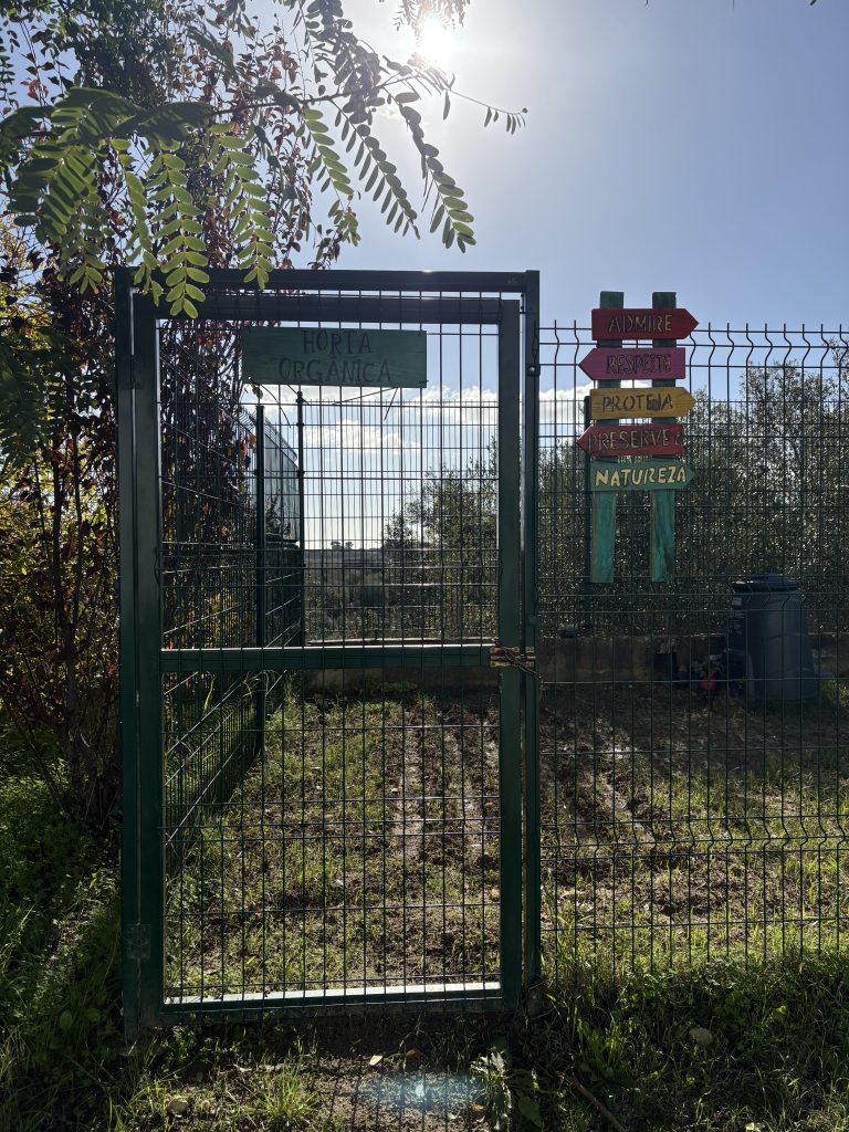 Horta e Pomar Pedagógico da Escola Básica Maria Keil